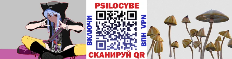 darknet какой сайт как найти закладки Буинск Псилоцибиновые грибы Psilocybine cubensis